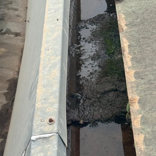 WhatsApp Image 2025-11-12 at 10.19.30 (1)